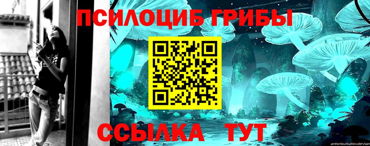 Галлюциногенные грибы GOLDEN TEACHER  Вход с VPN  Соль-Илецк  Галлюциногенные грибы Psilocybe 